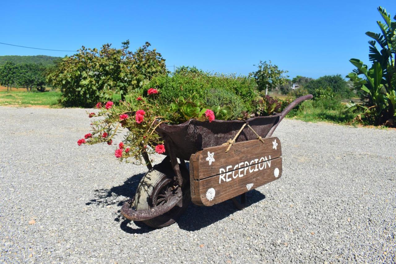 Agroturismo Sa Marina - Adults Only Villa Cala Boix Eksteriør billede
