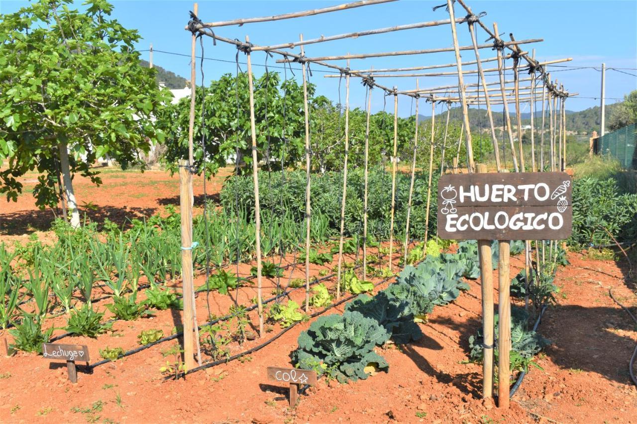 Agroturismo Sa Marina - Adults Only Villa Cala Boix Eksteriør billede